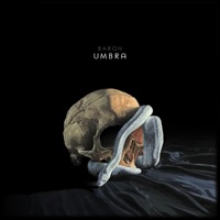 Umbra - Baron