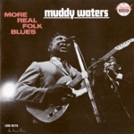 Muddy Waters - You're Gonna Need My Help I Said