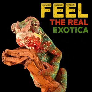 Feel the Real Exotica - Tropical Jungle, Rainforest, Wild Animals