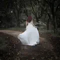 La Rosa Blanca