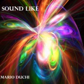 Mario Duchi - Reasonless