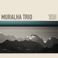 Efeito Dominó (feat. Edu Meirelles, Murilo Moura & Gustavo Telles) - Single - Muralha Trio