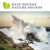 Rain Sounds Nature Sounds artwork