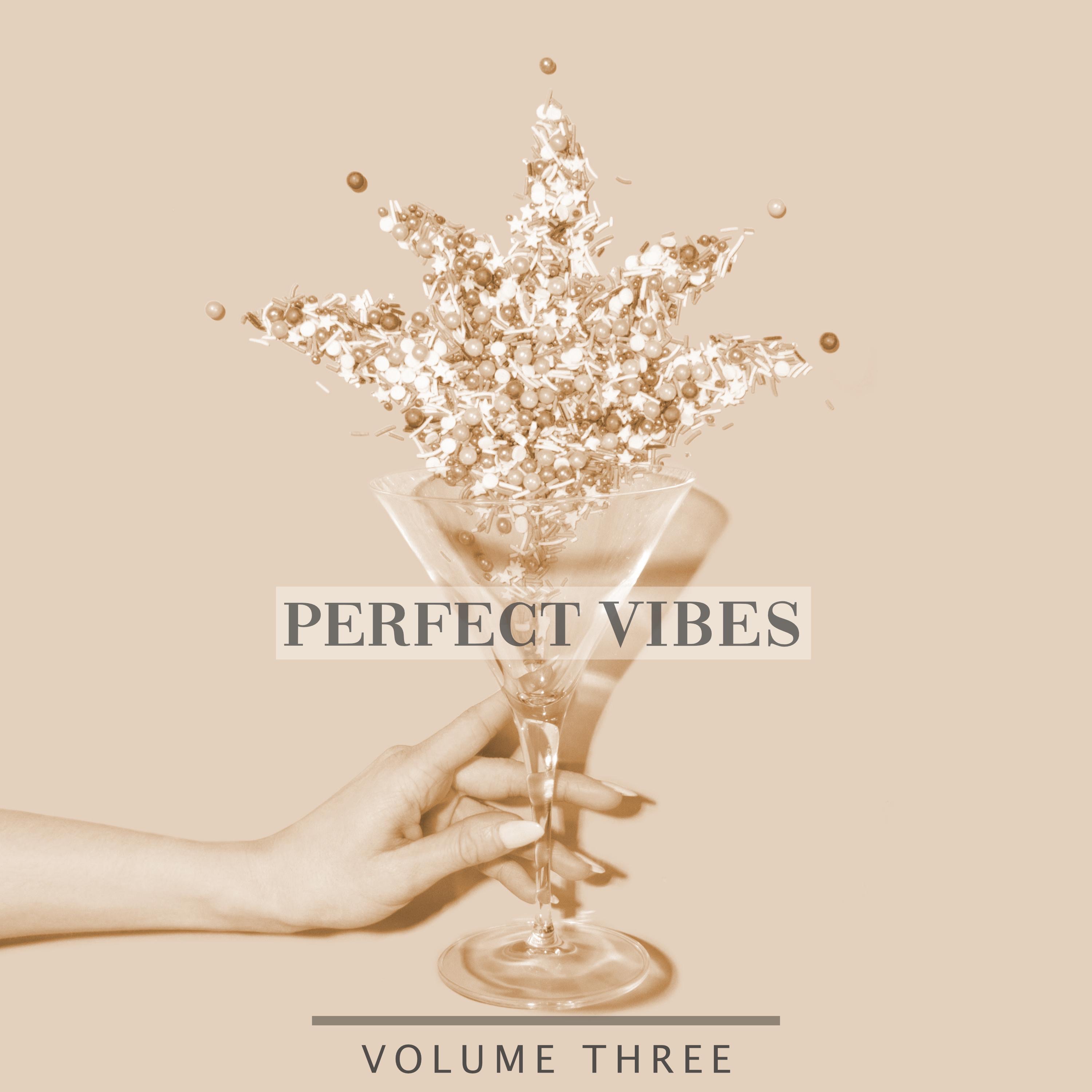 Perfect Vibes, Vol. 3