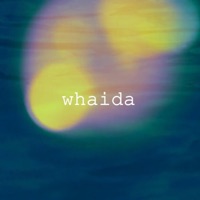 whaida - Single - Arti.K