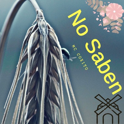 No Saben - Single