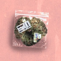 Guaya - Single - Gyanma