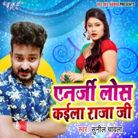 Energy Lose Kaila Raja Ji - Single - Sunil Chawala