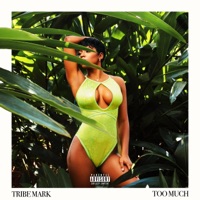 Too Much - Single - Tribe Mark
