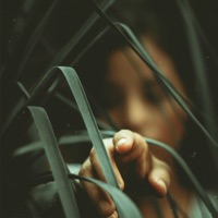 Oxmose (feat. Epektase) - Single - ØDYSSEE & Pandrezz