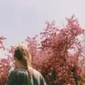 All Kinds of Flowers
