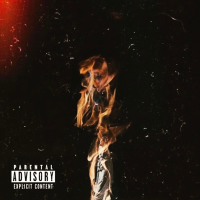 Embers to Ashes