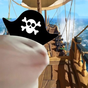 Sea Shanty Trap - Single