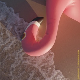 Saffron Sunset (Athena Varosio Remix) Regressor