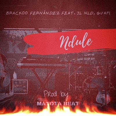 Ndulé (feat. Jl Nld & Guapi) - Single