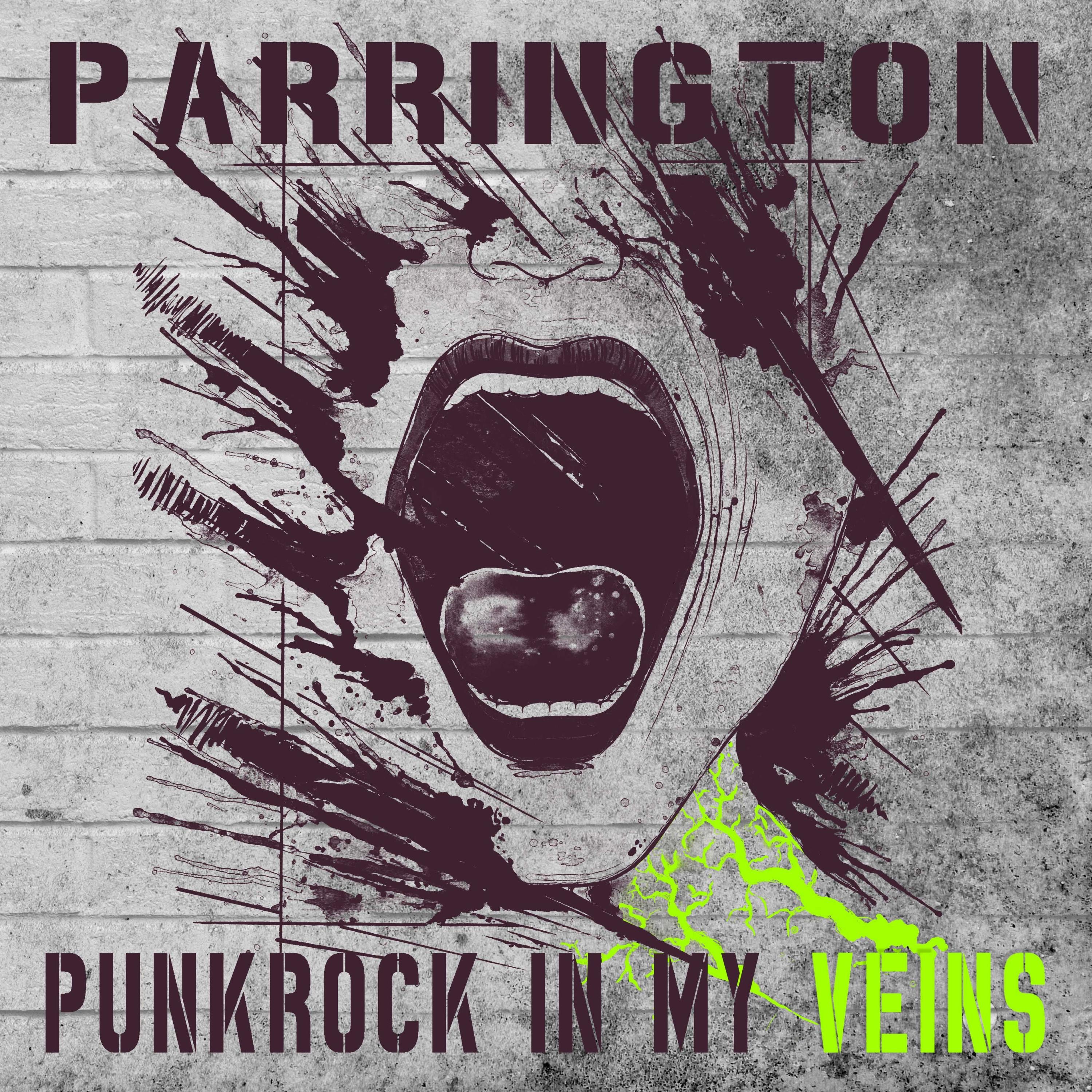 Punkrock in My Veins