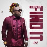 Find It - Single - Elephant Man