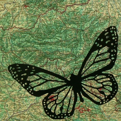 Wild Journeys