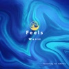 Feels (feat. Tai Smoove) - Single