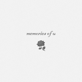 Memories of U Drrreems