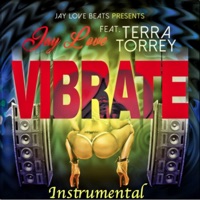 ViBrate (feat. Terra Torrey) [Instrumental] - Single - Jay Love Beats