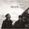 End of the World - Mate