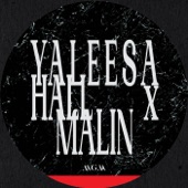 Yaleesa Hall - Alpha Decay (Original Mix)