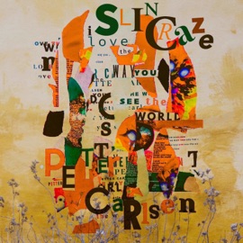 I Love the Way You See the World (feat. Petter Carlsen) [Remix] Slincraze