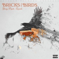 Bricks and Birds (feat. Quoncho) - Single - Young Bopete
