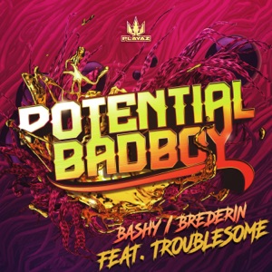 Bashy / Brederin - Single
