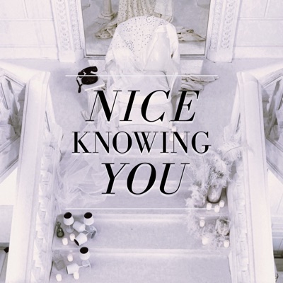 Nice Knowing You - Single