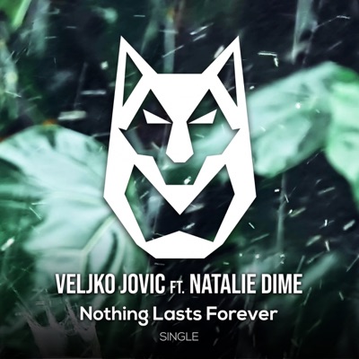Nothing Lasts Forever - Single