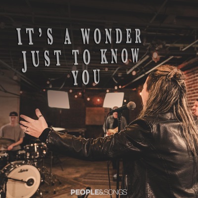 It's a Wonder Just to Know You (feat. Laurel Taylor) - Single