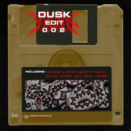 Space Jam (RZVX Edit) Dusk Records