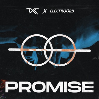 Promise (feat. Electrooby) - Single