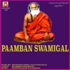 Paamban Swamigal