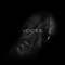Voices - R.D.Key lyrics