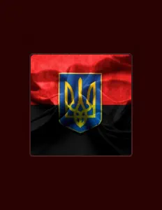 No Cello: песни, клипы, биография, даты выступлений и многое другое.