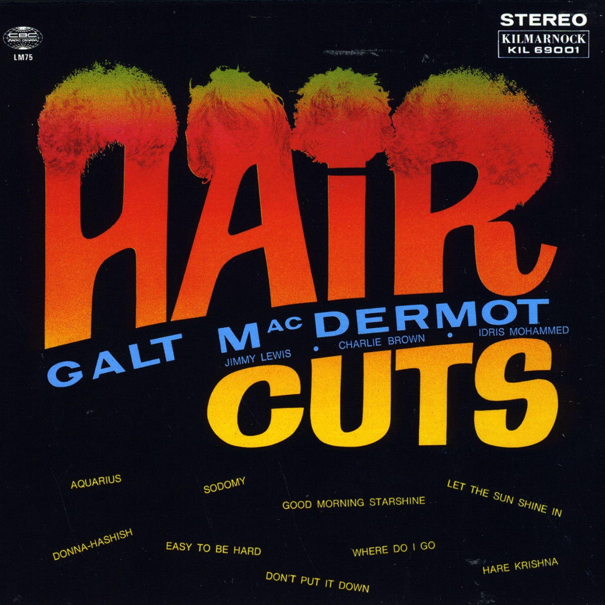 Almost an Hour With Fergus MacRoy - Album by Galt MacDermot & Bill