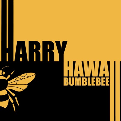 Bumblebee - Single