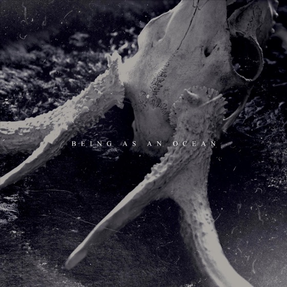 Cover artwork for We Will Never Be the Same