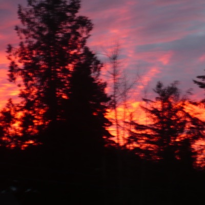 Letters in December - Single