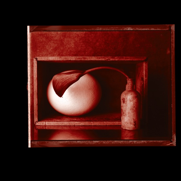 Nocturnes - Single
