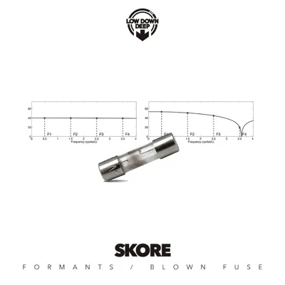 Formants / Blown Fuse - Single - Skore