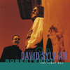 Jean the Birdman - David Sylvian & Robert Fripp