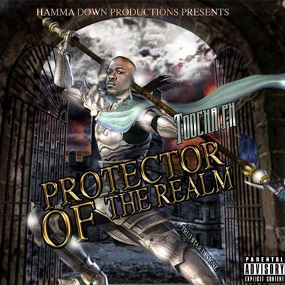 Protector of the Realm