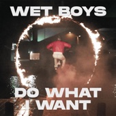 Do What I Want artwork