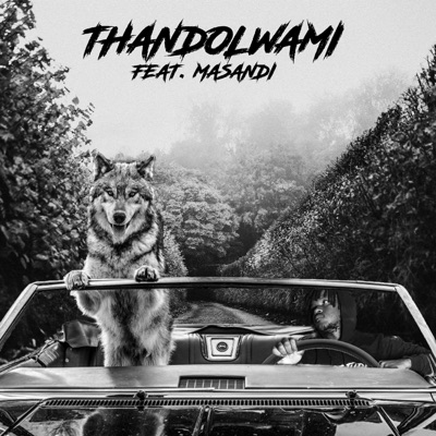 Thandolwami (feat. Masandi) - Single