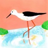 Black-winged Stilt (feat. Secret Bad Boy)