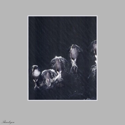 Free the Whales - EP